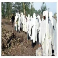 入殓成服之仪--成服